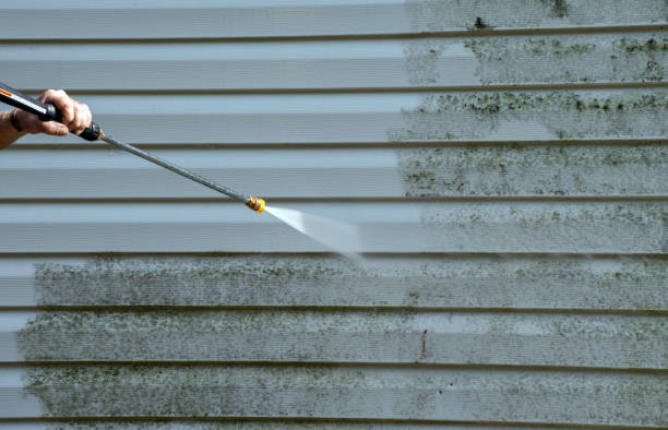 Best Professional Mold Removal  in Paramount Long Meadow, MD