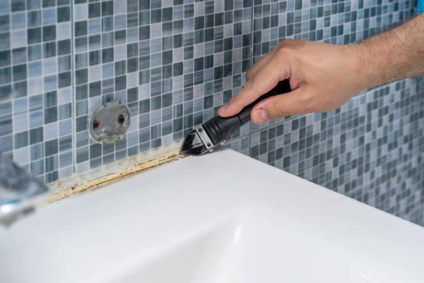 Best Office Mold Removal Services  in Paramount Long Meadow, MD