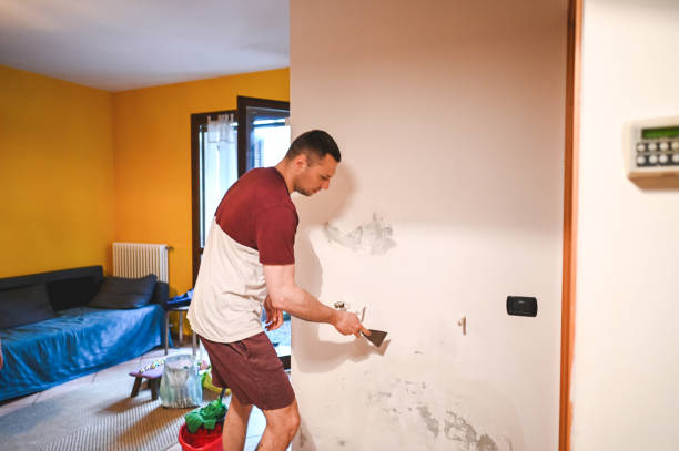 Best Crawl Space Mold Removal  in Paramount Long Meadow, MD
